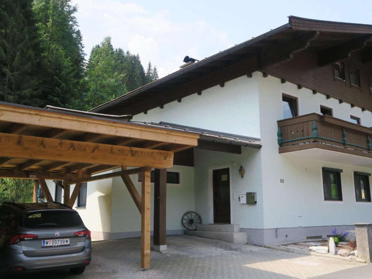 Apartment In Salzburgerland Near The Ski Area Viehhofen Exterior foto